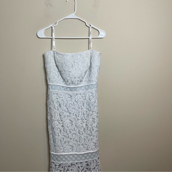 Tadashi Shoji Lace Overlay Strapless Dress - Picture 4 of 14